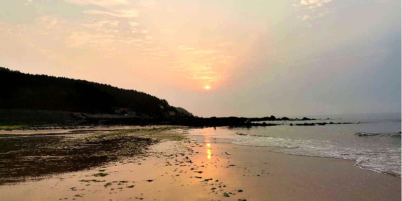 青島康地恩“WE ARE 伐木累”家庭日活動