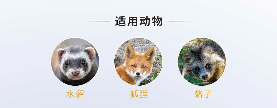 硫酸新霉素可溶性粉-貂狐貉專用