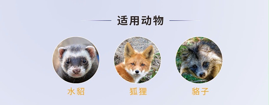 貂、狐、貉等毛皮動物腦膜炎、心內(nèi)膜炎的防治用藥廠家批發(fā)-青島康地恩