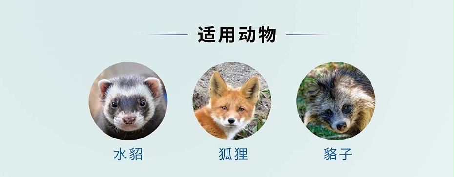 貂狐貉感冒、消炎殺菌、乳房炎藥廠家-青島康地恩-1