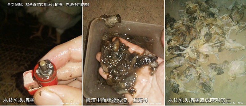 規(guī)?；u場(chǎng)水質(zhì)管理