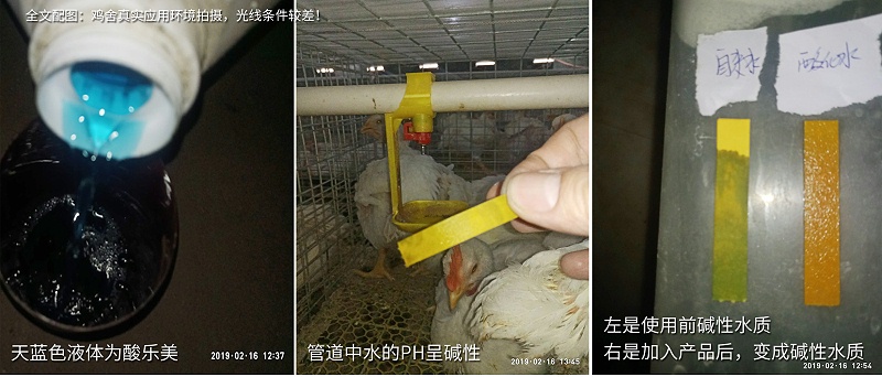 規(guī)模化雞場(chǎng)水質(zhì)管理