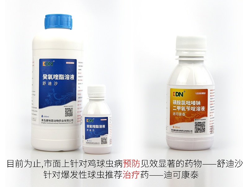 雞球蟲病預(yù)防推薦用藥——舒迪沙。爆發(fā)性球蟲治療藥——迪可康泰。