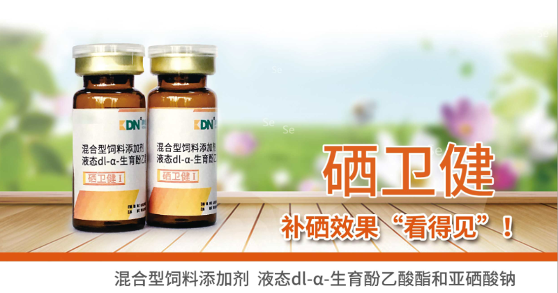 快大型肉禽早期缺硒性癱瘓?jiān)趺崔k？【康地恩養(yǎng)殖】