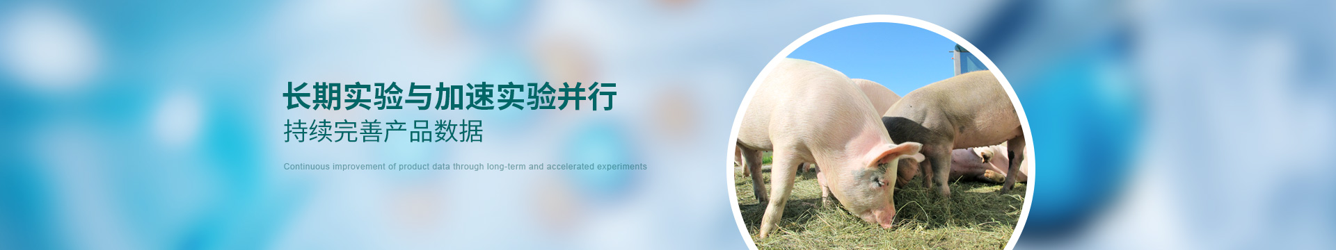 康地恩，長(zhǎng)期實(shí)驗(yàn)與加速實(shí)驗(yàn)并行