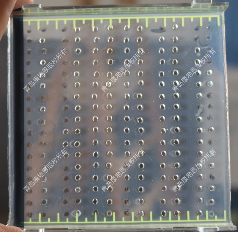 對流免疫電泳檢測結果圖（青島康地恩提供專業(yè)的阿留申檢測實驗室建設和技術支持）