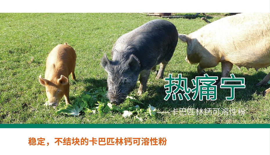 卡巴匹林鈣，解熱鎮(zhèn)痛