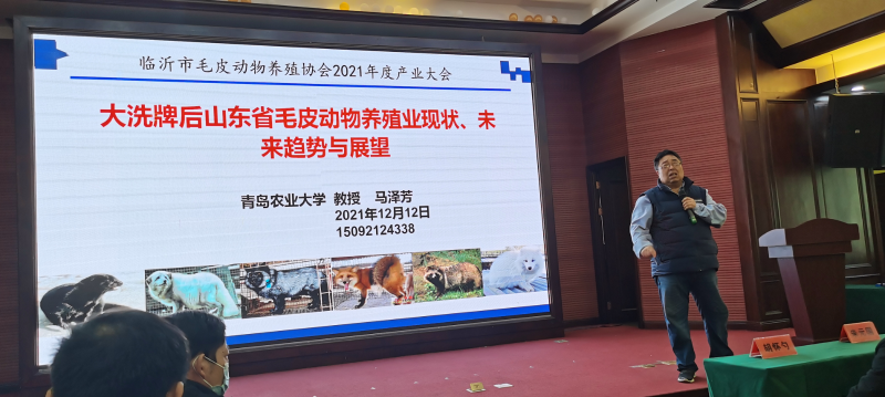 山東畜牧協(xié)會特養(yǎng)分會會長 青島農(nóng)業(yè)大學(xué) 馬澤芳教授