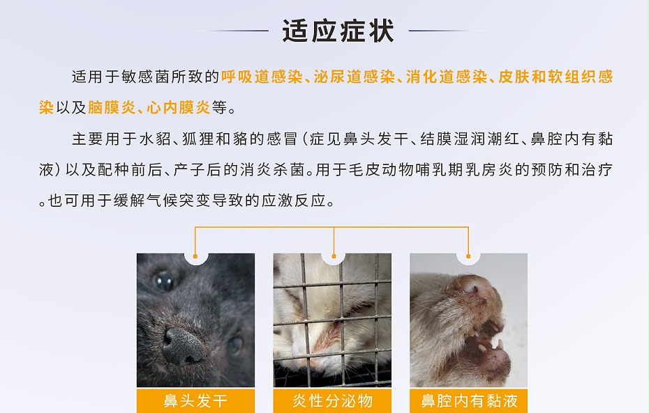貂、狐、貉等毛皮動物腦膜炎、心內(nèi)膜炎的防治用藥廠家批發(fā)-青島康地恩2